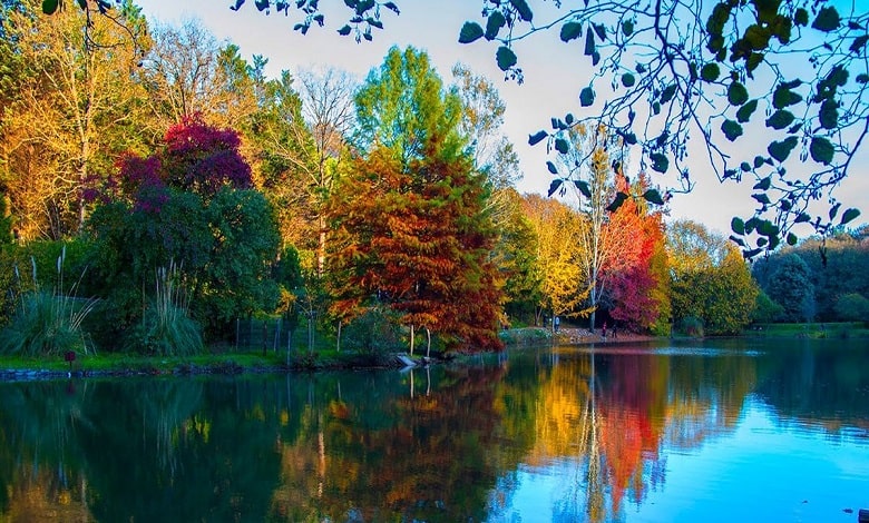 İstanbul’da Sonbaharda Ruhunuzu Dinlendirecek En Güzel Yer: Atatürk Arboretumu