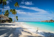 Maldivler’in Çok Popüler Olmasının 7 Nedeni