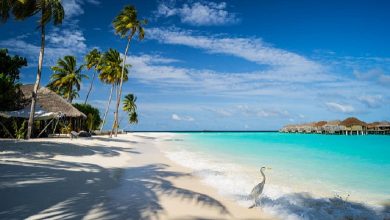 Maldivler’in Çok Popüler Olmasının 7 Nedeni