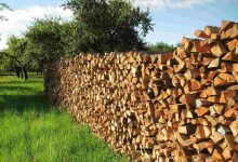 1 Ton Odun Fiyatları Listesi