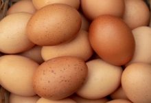Bim Yumurta Fiyatları Güncel