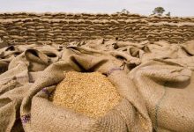1 Ton Arpa Buğday Fiyatları